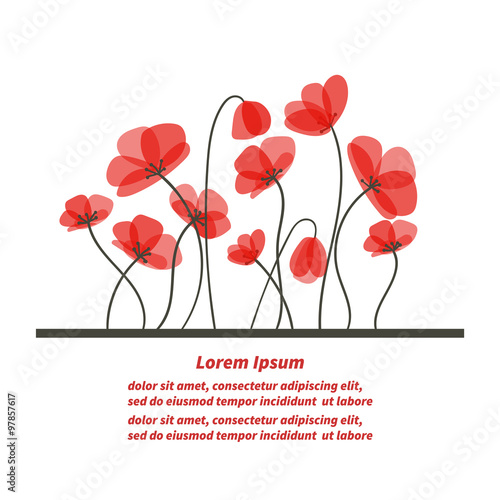 Fototapeta Naklejka Na Ścianę i Meble -  Floral background. Beautiful poppies isolated on white. Romantic card or invitation template. 