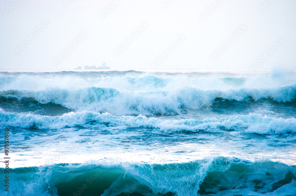 morningglow wave(波) morningglow wave(波)