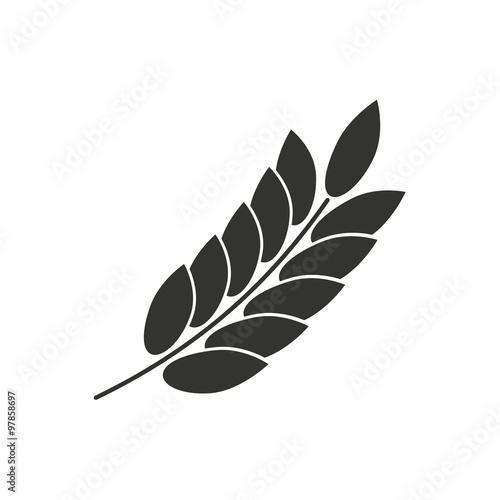 Barley  icons