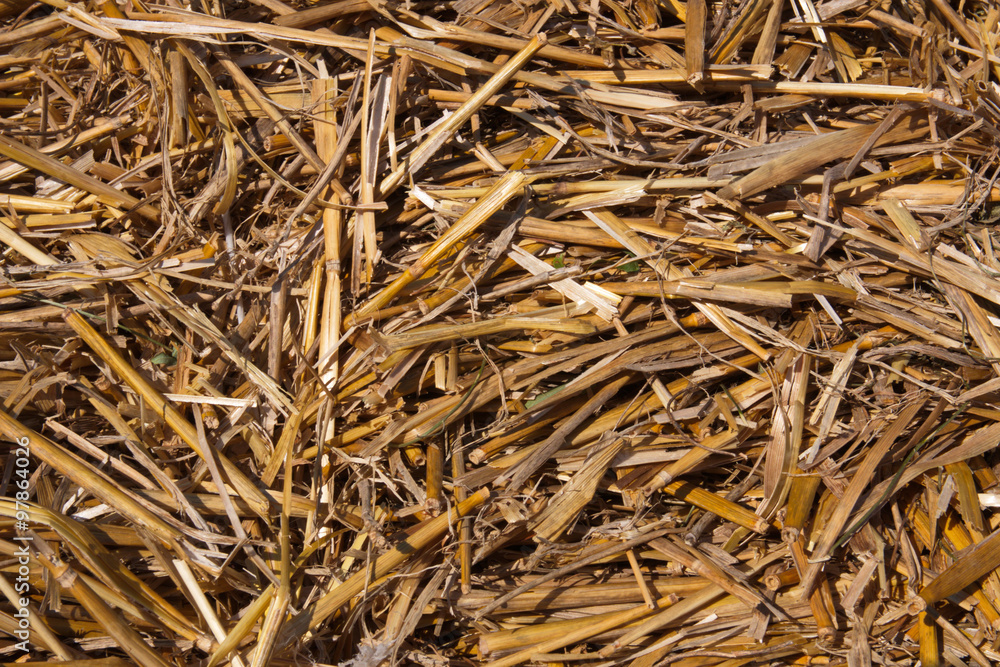 Straw Straw