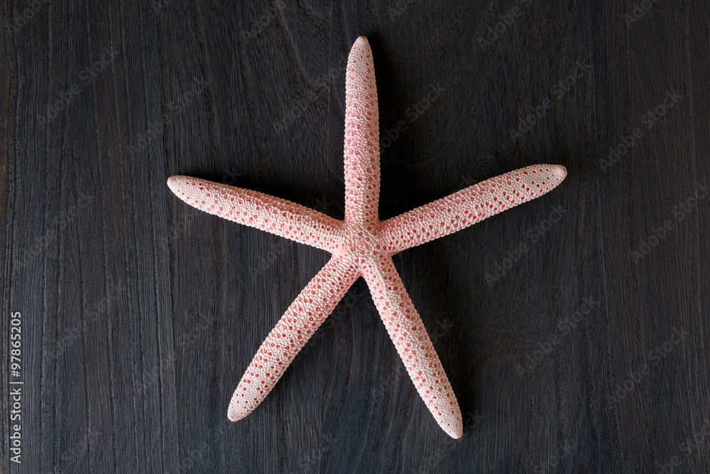 Close-up of red starfish on old wooden board Close-up of red starfish on old wooden board