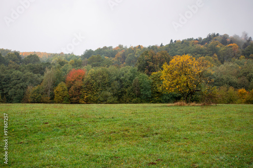 Fototapeta Naklejka Na Ścianę i Meble -  Autumn landscape in mountain