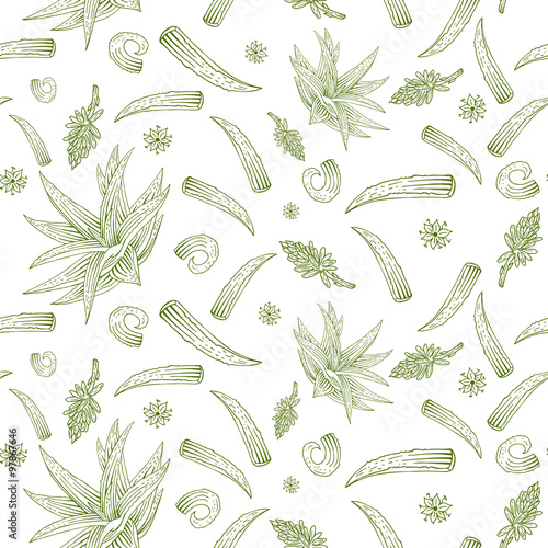 Vector herb pattern with aloe vera, flowers and branches.