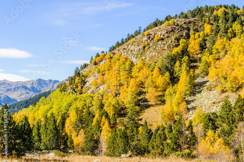 Fototapeta Naklejka Na Ścianę i Meble -  Colorful Fall landscape in the Valley of Estanyo River, Andorra