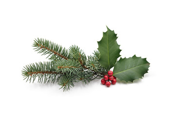 Christmas decoration of holly berry and pine tree