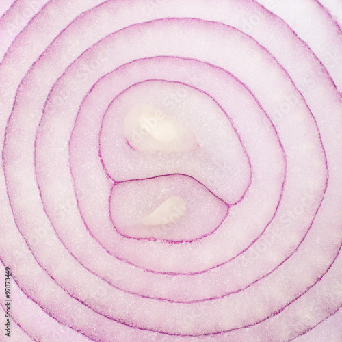 onions rings in a section