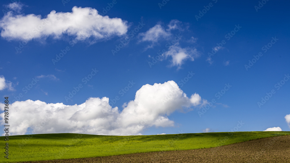 Fototapeta premium Minimal Landscape