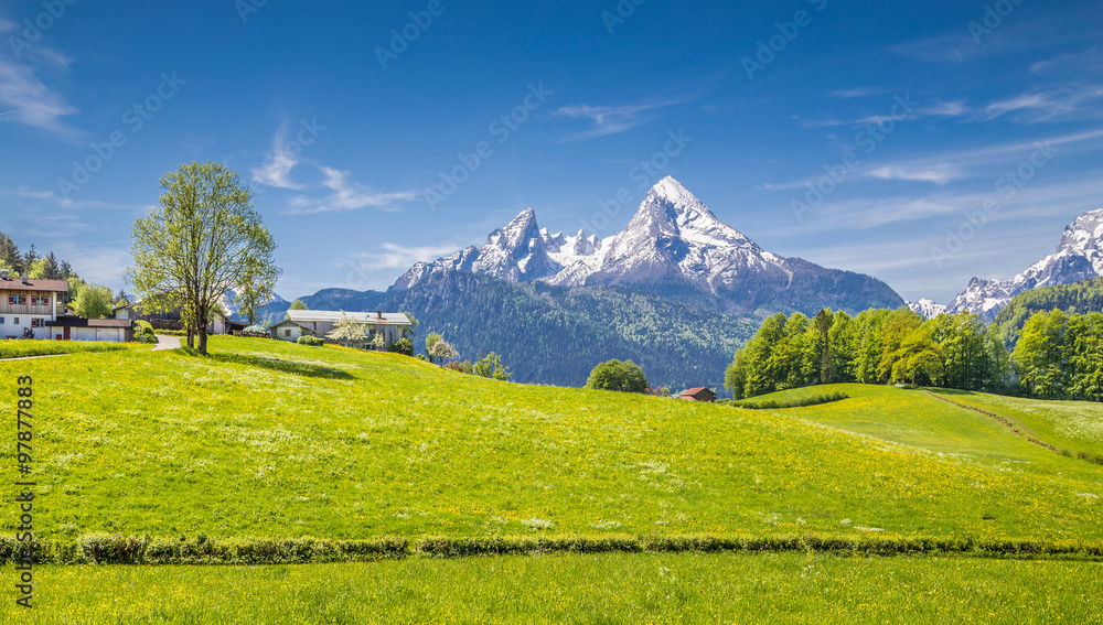 Idyllic landscape in the Alps with green meadows and farmhouse