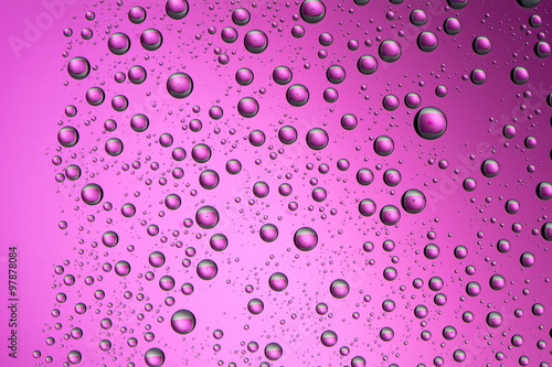 water drops on pink background