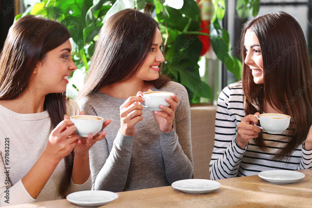 Beautiful girls drink coffee and speaking in cafe Beautiful girls drink coffee and speaking in cafe