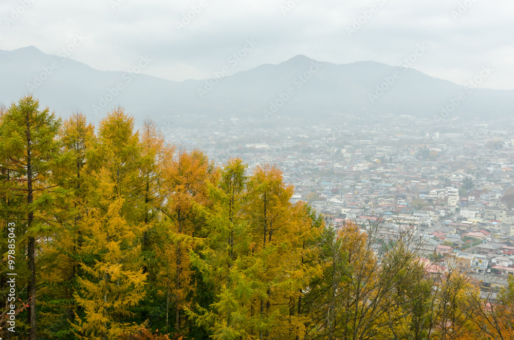 Fototapeta premium city view during autumn