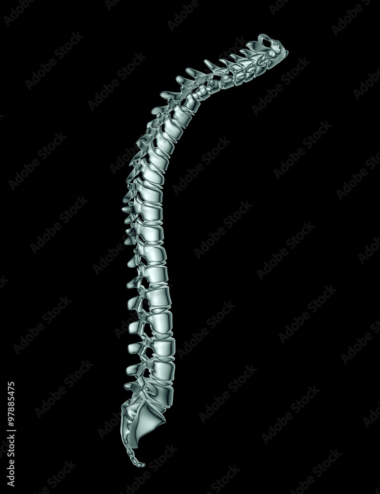 x-ray image of a spine on black with clipping path x-ray image of a spine on black with clipping path