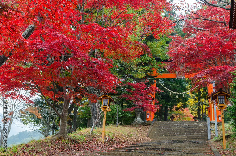 Visit Chureito Pagoda stairs during autumn