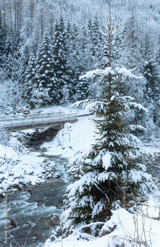 Winter mountain stream.