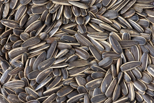 Sunflower seeds on a tray, this might pass your afternoon biting it.