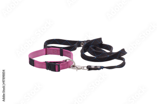 Dog leash and collar.