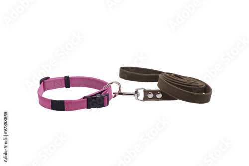Dog leash and collar.