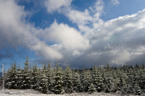 winter landscape with cloudy blue sky
