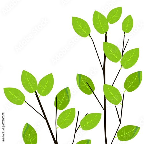 tree branches with green leaves