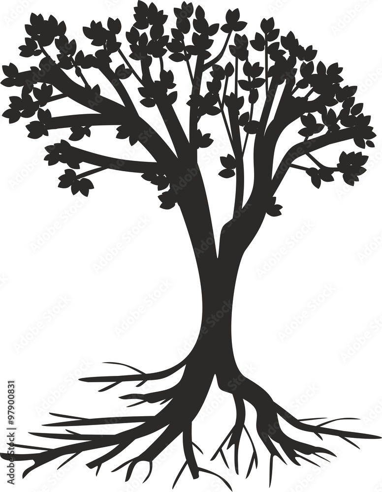 Fototapeta premium silhouette of tree with roots