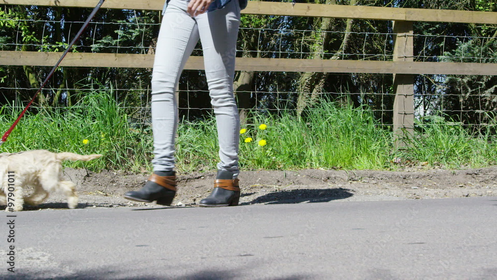 Young woman taking her dog for a walk in the countryside. Young woman taking her dog for a walk in the countryside.