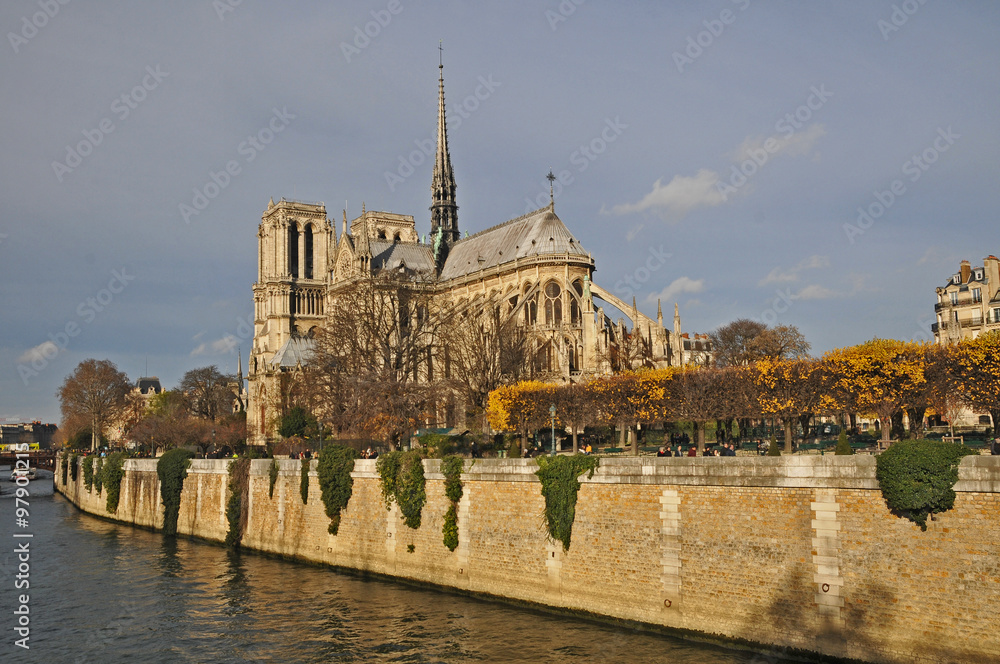 Parigi, la cattedrale di Notre Dame