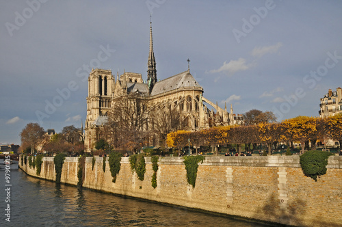 Parigi, la cattedrale di Notre Dame