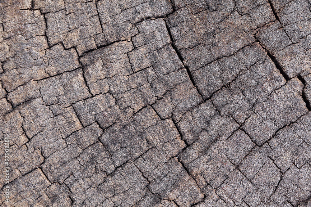 Fototapeta premium grunge wooden texture