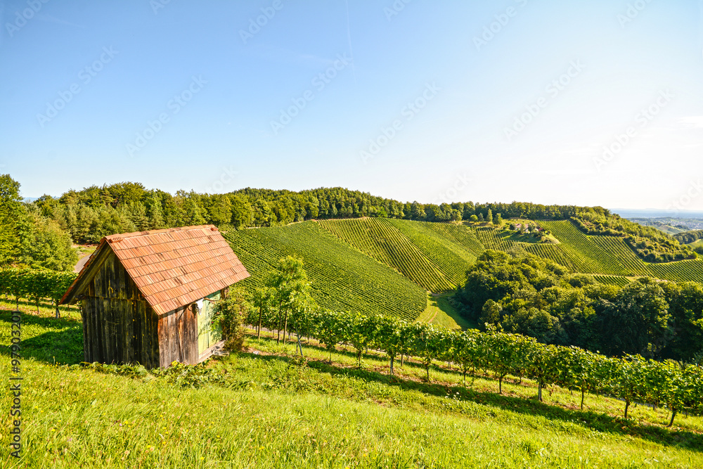 View at an old wooden hut in the vineyard, Southern Styria Austria