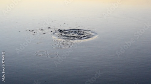 Stone falls into water and plops producing rings on surface