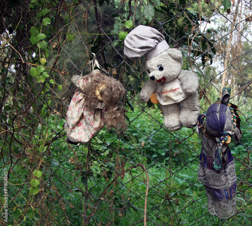 Old Spooky Dolls hanging in a tree in Mexico City [Isla de las Munecas /Island of the Dolls]