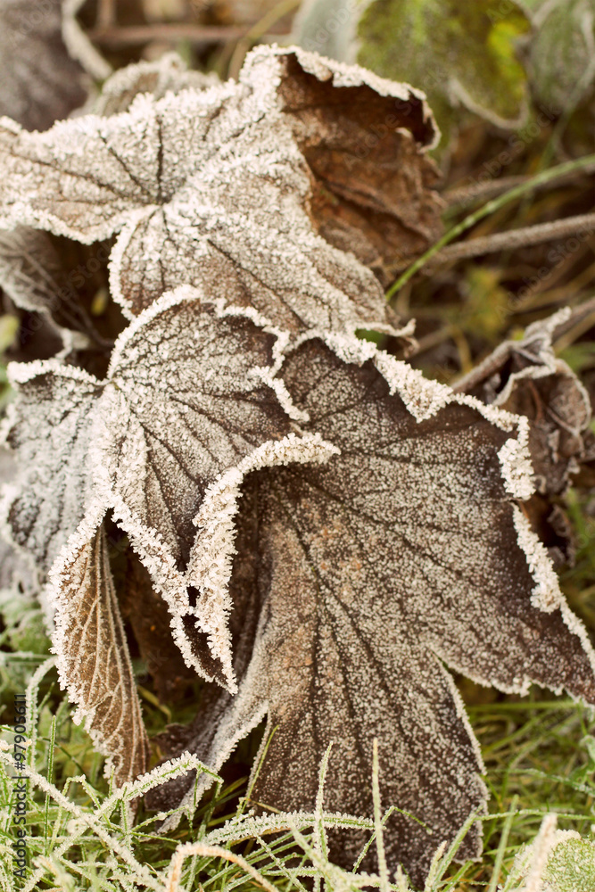 Beautiful winter nature Beautiful winter nature