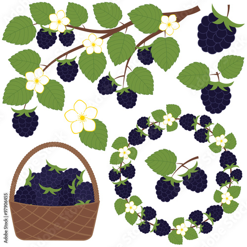 Blackberry set
