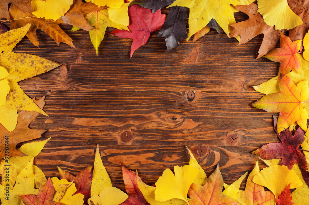 Autumn leaves frame background Autumn leaves frame background