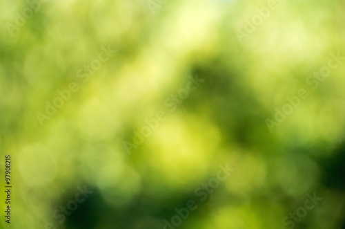 Green blurred background