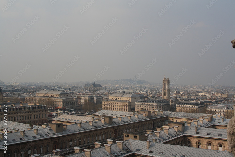The view from Notre-Dame de Paris, 2010