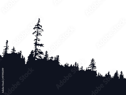 Forest silhouette