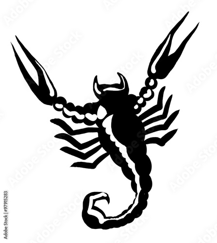 scorpion, black and white