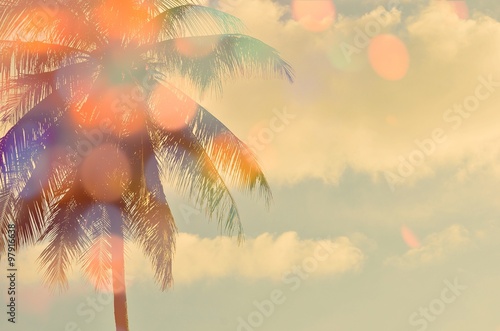 Blur tropical palm tree double exposure with color bokeh light abstract background.