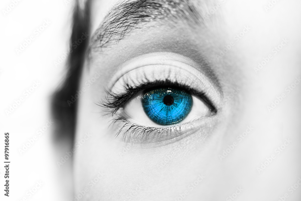 Obraz premium A beautiful insightful look eye. Close up shot