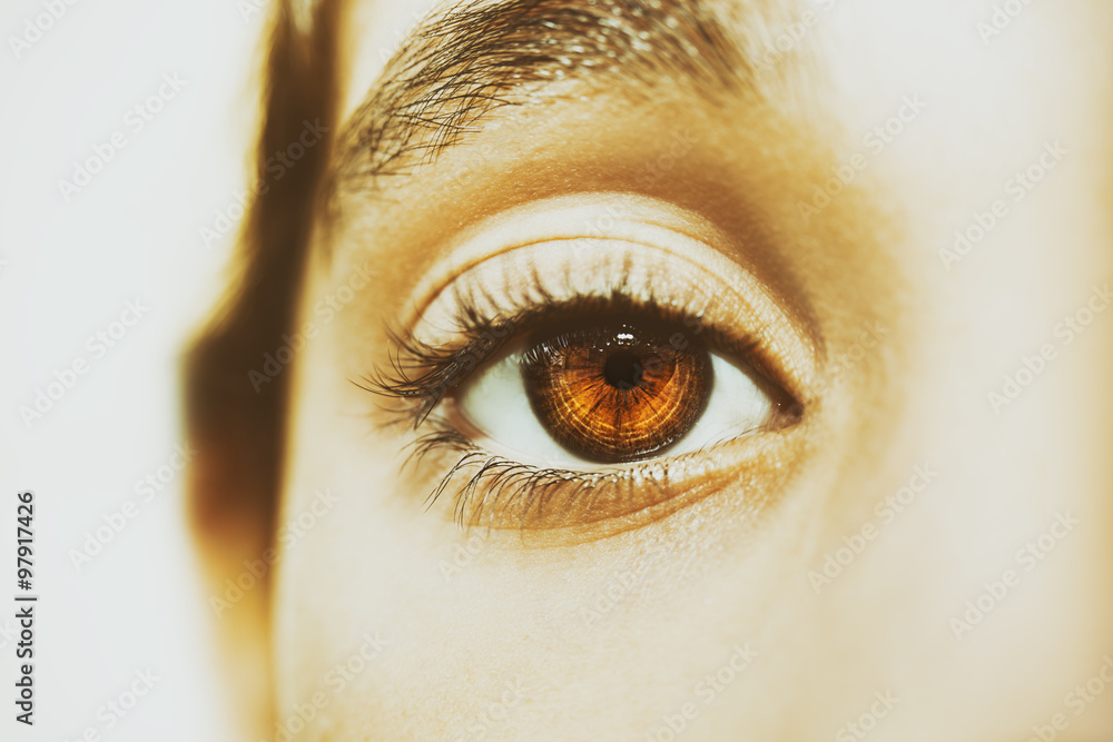 Naklejka premium A beautiful insightful look eye. Close up shot