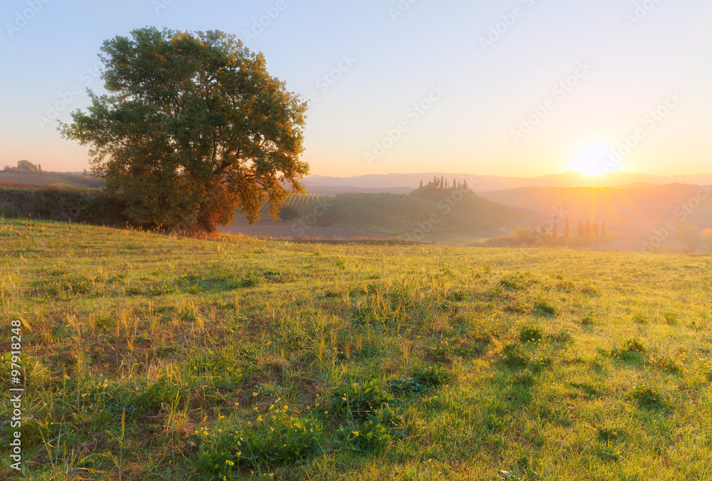 Fototapeta premium Countryside landscape at beautiful sunrise