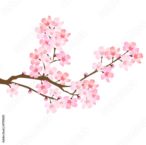 桜　春　ピンク　アイコン