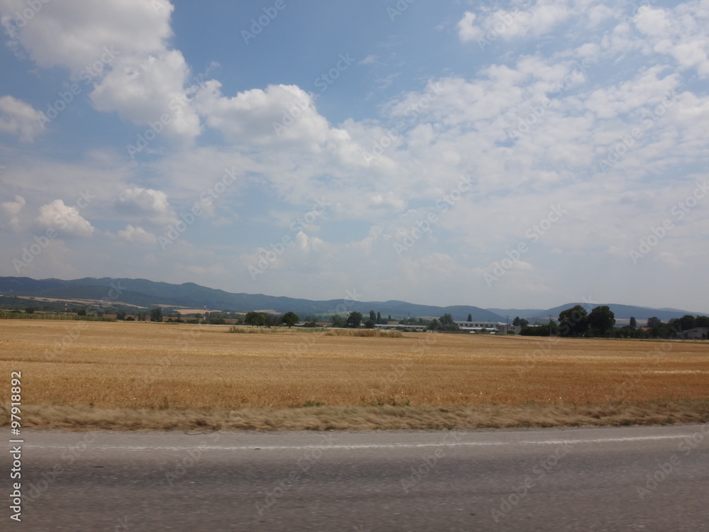 Obraz premium Желтое скошенное поле колосьев осенью