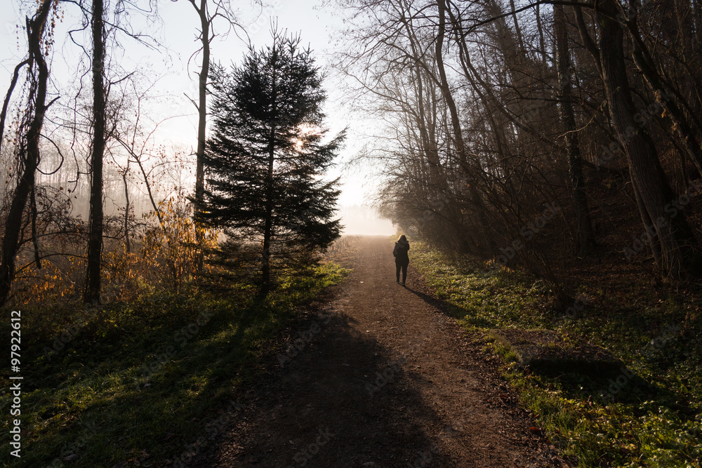 sentiero nel parco del Lura - Lomazzo sentiero nel parco del Lura - Lomazzo