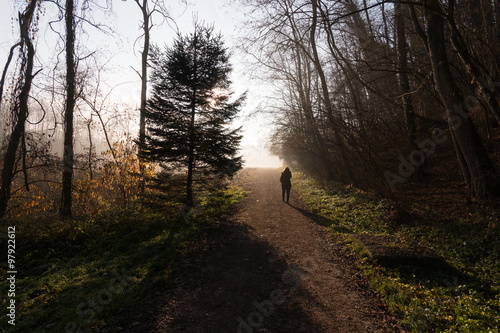 sentiero nel parco del Lura - Lomazzo photo