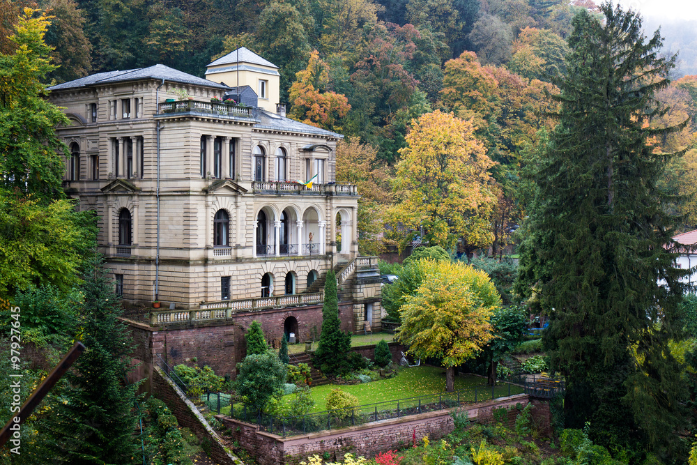 Castle surrounding with forest - Heidelberg, German Castle surrounding with forest - Heidelberg, German