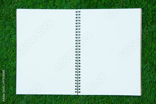 book and diary