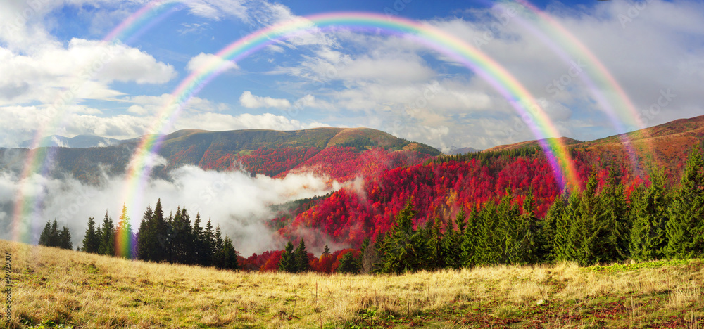 rainbow in the autumn
