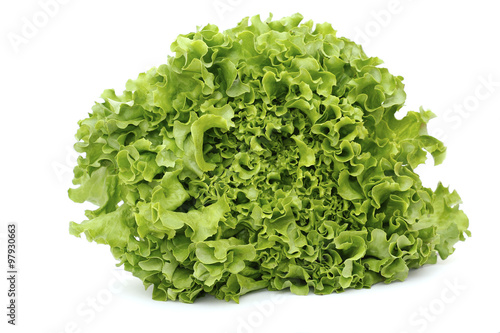 Green leaves lettuce